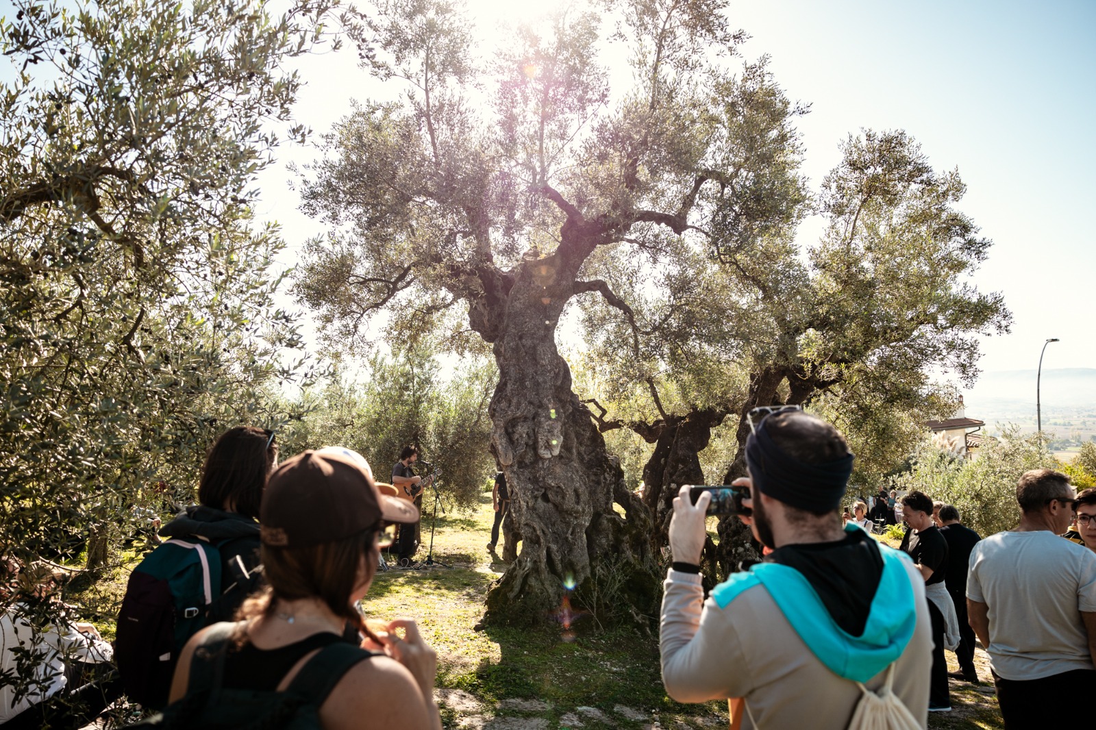 evento di oleoturismo in umbria