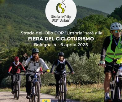 Le attività di Ciclo/Olioturismo 2025 in Umbria